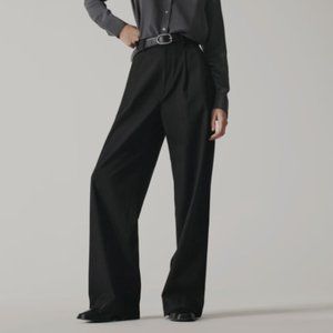 Everlane The Way-High Drape Wide Leg Baggy Pant In Black